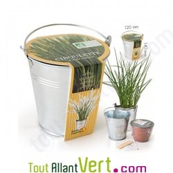 Pot zinc de culture + terreau et graine, 12 cm