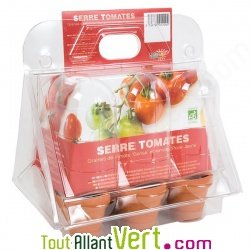 Mini serre Tomates de culture bio, plastique recycl� + terre et graines, 20 cm