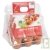 Mini serre Tomates de culture bio, plastique recycl� + terre et graines, 20 cm