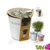 Pot zinc de culture Thym + terreau et graine, 12 cm