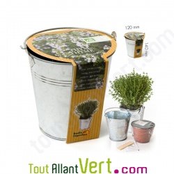 Pot zinc de culture Thym + terreau et graine, 12 cm