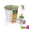 Pot zinc de culture Coriandre + terreau et graine, 12 cm