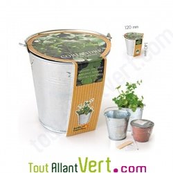 Pot zinc de culture Coriandre + terreau et graine, 12 cm