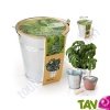 Pot zinc de culture Basilic + terreau et graine, 12 cm