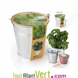 Pot zinc de culture Basilic + terreau et graine, 12 cm