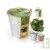 Pot zinc de culture Basilic + terreau et graine, 12 cm