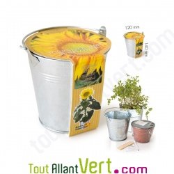 Pot zinc de culture Tournesol nain + terreau et graine, 12 cm