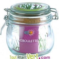 Pot verre de culture Ciboulette + terreau et graine, 12 cm