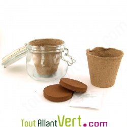 Pot verre de culture Ciboulette + terreau et graine, 12 cm