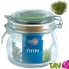 Pot verre de culture + terreau et graine, 12 cm