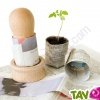 Fabrique � pot en bois FSC + graine Tomate cerise, 13 cm