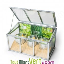Petite serre ch�ssis 3 pots d\'aromates bio + terre et graines, 27 cm