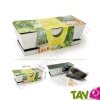 Jardini�re en zinc de culture 3 Basilics bio + terreau et graines