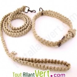 Laisse + collier chien en chanvre biologique, naturel