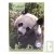 Agenda scolaire recycl� 2009-2010 Forever 1 jour par page 384 pages 12x17cm