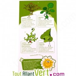 Coffret \"Raconter des salades!\" 4 + 1 sachets de graines bio de salades et fleur