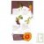 Coffret "Prendre racine" 4 + 1 sachets de graines bio de l�gumes anciens et fleur