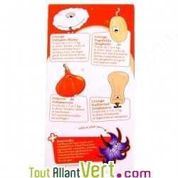 Coffret \"Courge toujours!\" 4 + 1 sachets de graines bio de courges et fleur