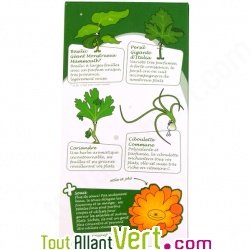 Coffret \"Herbes folles!\" 4 + 1 sachets de graines bio d\'aromates et fleur