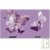 Gourde alu SIGG Papillon sur fond mauve, sans BPA 0.6 litre