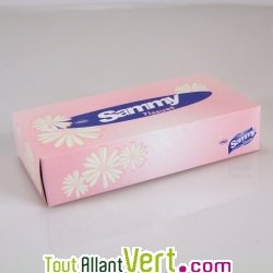 Boite distributrice de 100 mouchoirs en papier recycl�, 2 plis