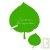 Sticker ardoise feuilles de noisetier, mati�re v�g�tale et colle sans solvant