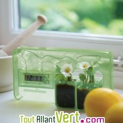 Horloge eau ou terre humide blanc transparent d�corative, 4M2U