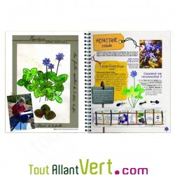 Livre Je dessine les fleurs sauvages, Myrian Tiberghien