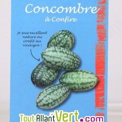 Graines bio Concombre � confire AB