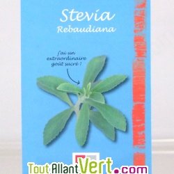 Graines bio Stevia Rebaudiana AB