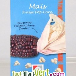 Graines bio Ma�s Fraise Pop-Corn AB