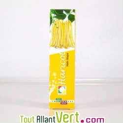 Graines bio Haricot Beurre Major, type Mangetout AB
