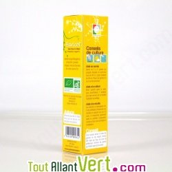 Graines bio Haricot Beurre Major, type Mangetout AB