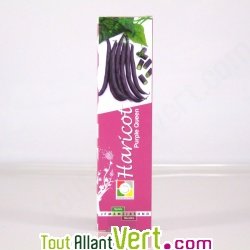 Graines bio Haricot Purple Queen, type Mangetout AB