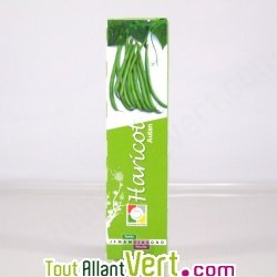 Graines bio Haricot Autan, type Fin de Bagnols AB