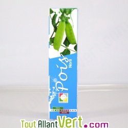 Graines bio Pois Norli, type Mangetout AB