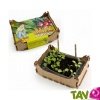 Cagette enfant culture Radis et Roquette bio + terreau