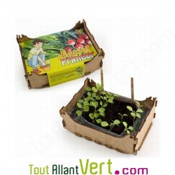 Cagette enfant culture Radis et Roquette bio + terreau