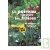 Le poireau pr�f�re les fraises: meilleures associations de plantes pour un potager 100% bio!