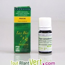 Huile essentielle Pruche bio (Tsuga canadensis) 5ml
