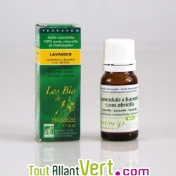 Huile essentielle Lavandin abrialis bio (Lavandula burnatii abrialis) 10ml
