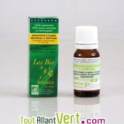 Huile essentielle Eucalyptus � fleurs multiples, � cryptone (Eucalyptus polybractea) 10ml