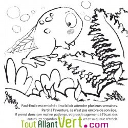 Paul-Emile t�tard solitaire, coloriage sur les grenouilles de S�verine Dalla