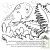 Paul-Emile t�tard solitaire, coloriage sur les grenouilles de S�verine Dalla