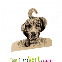 Cintre en carton d�coratif chien ou chat