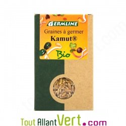 Graines � germer Kamut Bio, 200g Germline