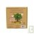 Livre pour enfant Au Jardin, potager et Terre nourrici�re, collection Graine d'�colo, 2-5 ans