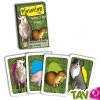 Jeu de cartes Minimemo Animaux de la Ferme