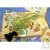 Jeu de soci�t� L'Arche de la Nature, espace Naturel du Mans