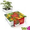 Jardini�re carr� en zinc de culture + terreau et graine, 25 cm